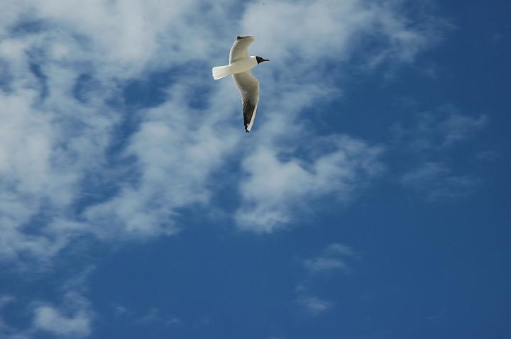 Saintes-marie (1)